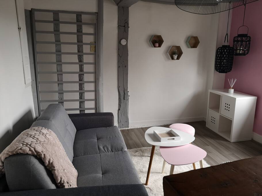 salon avec canapé-lit