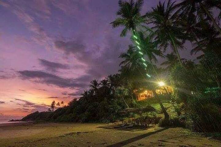 7th wave Secret surf spot