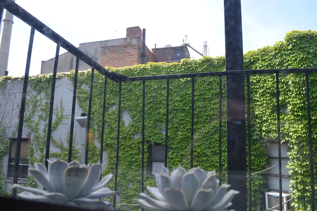 View out the windows of ivy-covered wall, serene and no street noise.