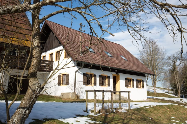 Attersee cabin home