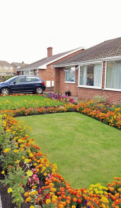 Front Garden with Summery Flowers