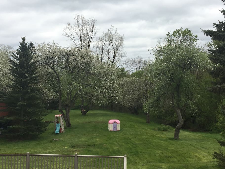 Over one acre of land filled with apple trees, and nature.