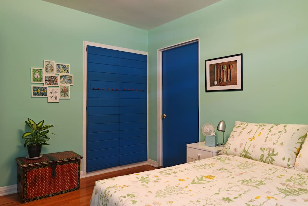 Lots of closet space in the green room.