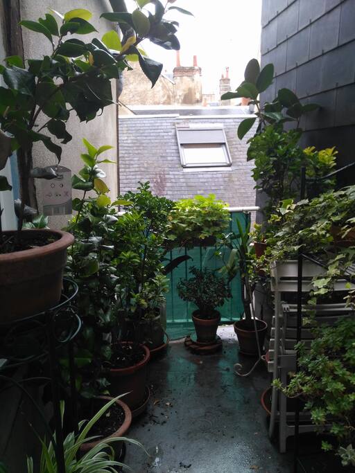 balcon privé