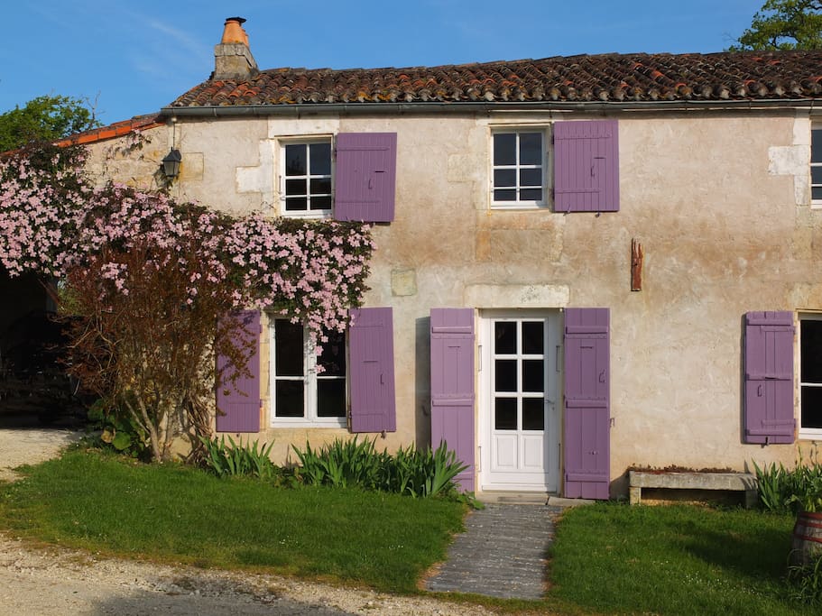 avec le retour du printemps, la façade avec la clématite en fleur !