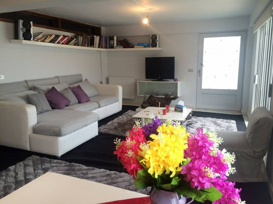Cozy living room