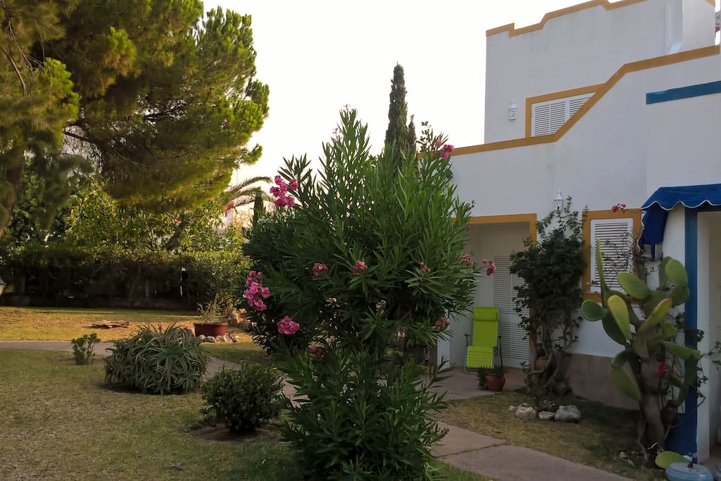 Vue de la maison depuis le jardin. La piscine est dans le dos