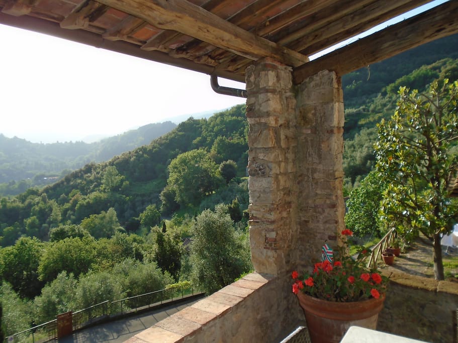 Stunning views from the terrace.