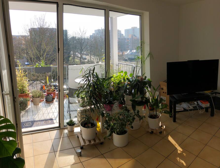Wohnzimmer mit Blick auf den Balkon