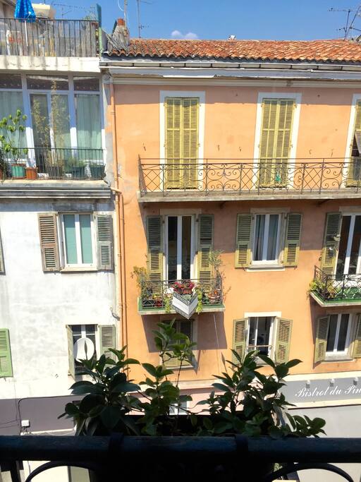 View from the kitchen window.