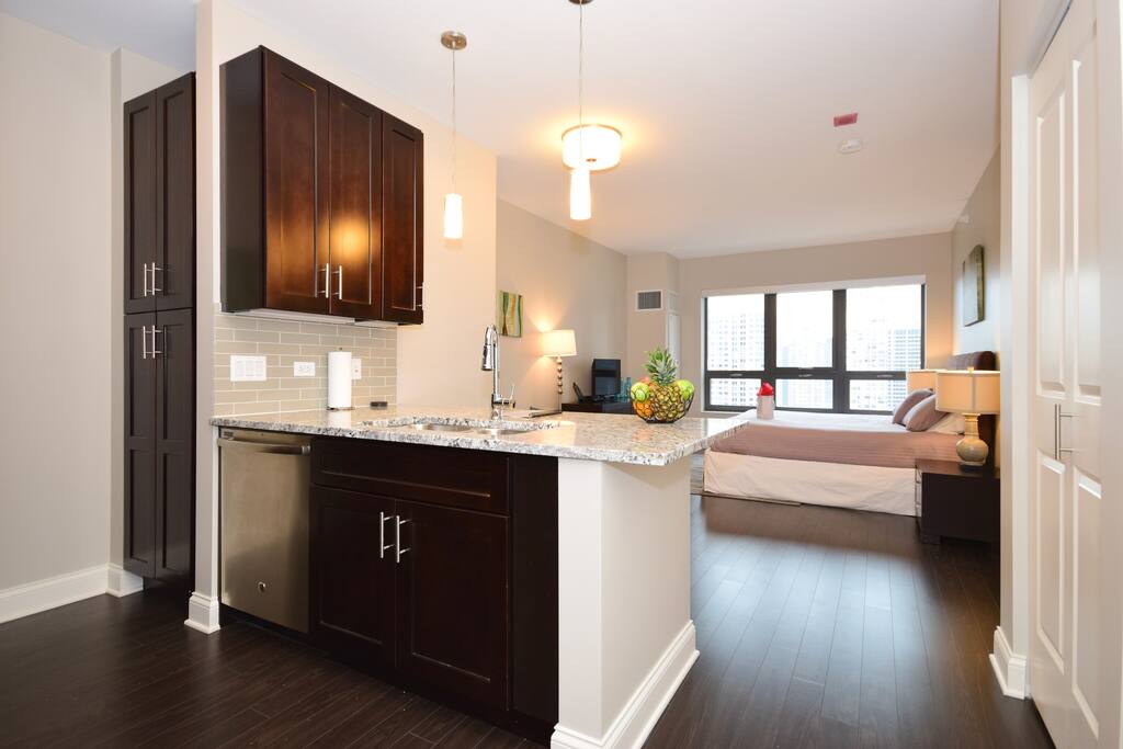Luxury Kitchen/Living Area