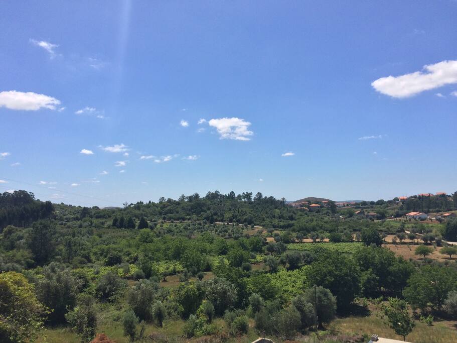 vue de la chambre