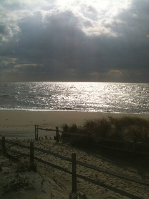 Beautiful quiet beach just steps away--like a 2 minute walk with no busy streets to cross!