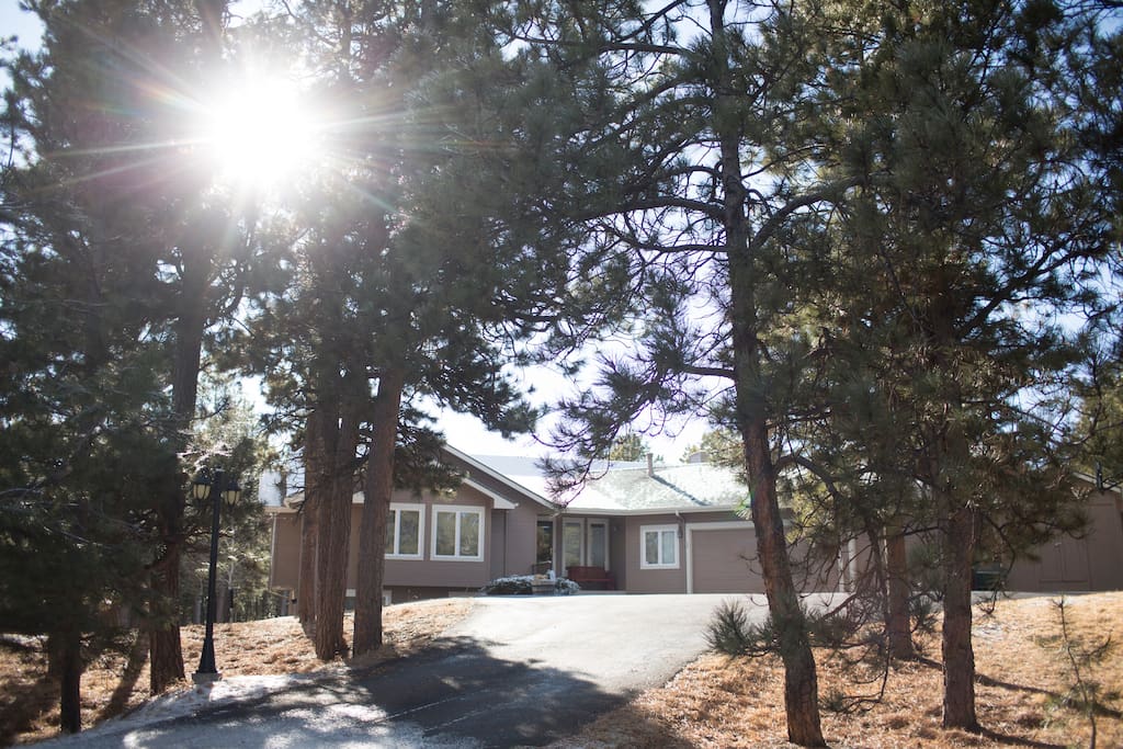 Convenient paved driveway leading off main road, through the trees to the house.