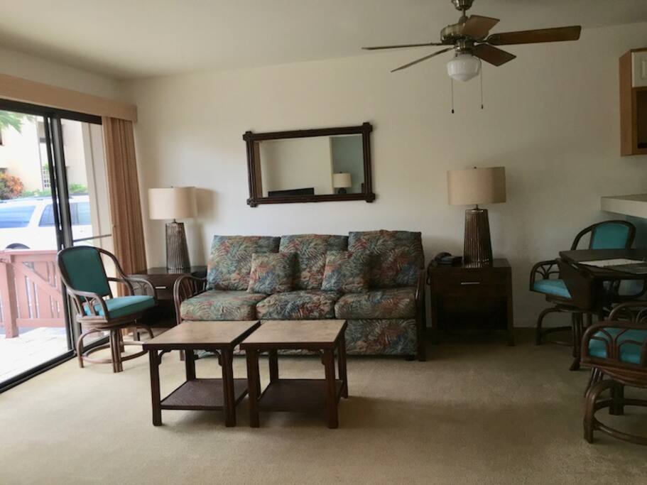 Living Room of the one bdrm Condo, two bedroom layout may be a bit different