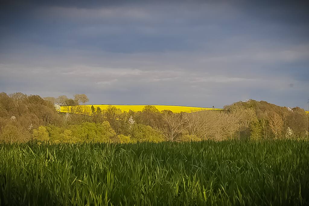 Ein Blick in die Landschaft direkt hinter unserem Haus.