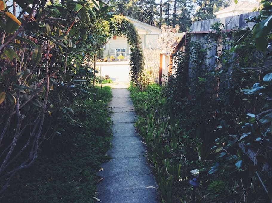 Green Garden Path