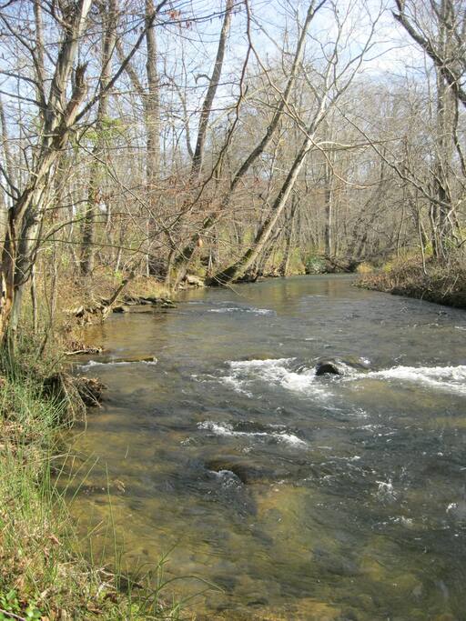 Swannanoa river