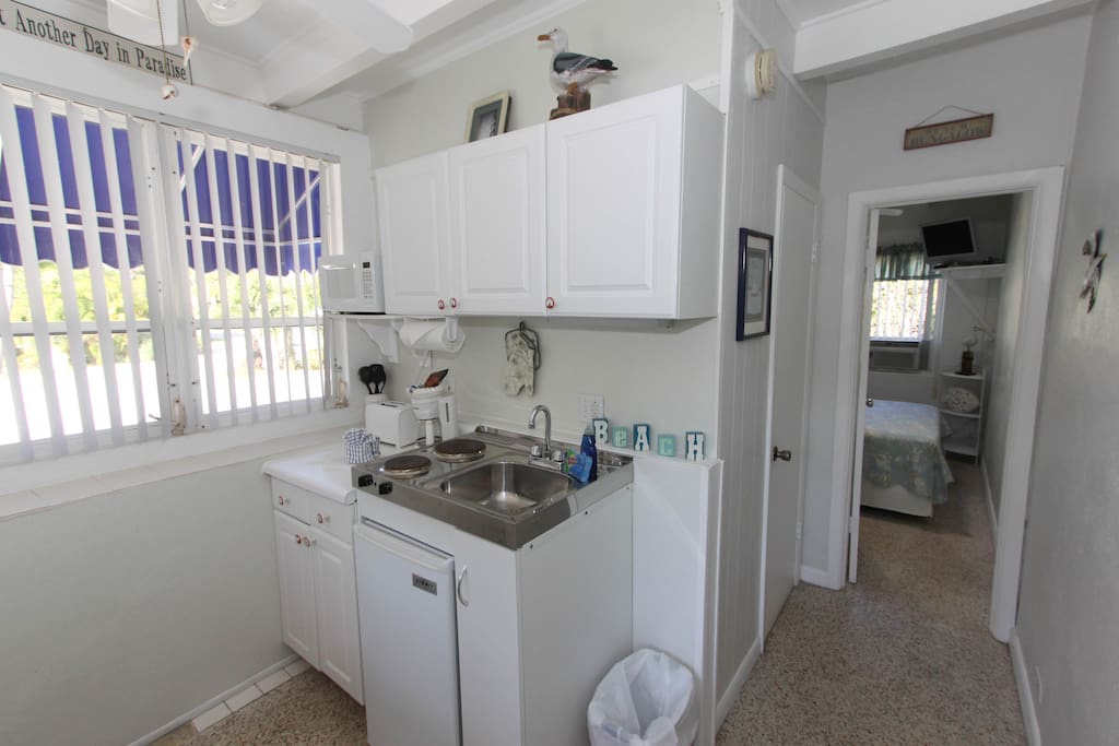 Kitchen area, with mini fridge and 2 burner stove
