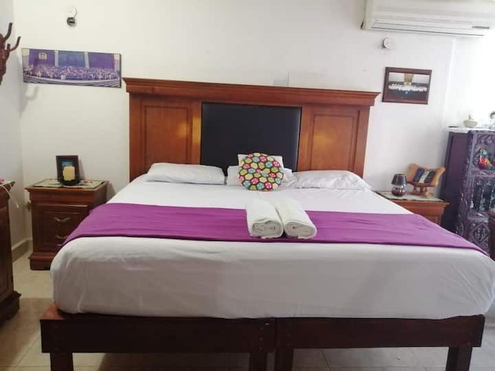 Комнатные цветы лимона — Дома в аренду в г. Кампече, Campeche, Мексика