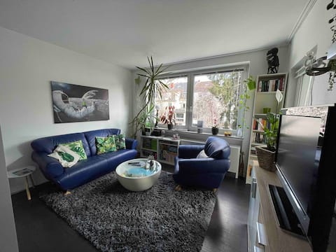 Own apartment,kitchen,bathroom,Wi-Fi,TV,
Balcony
Weststadt