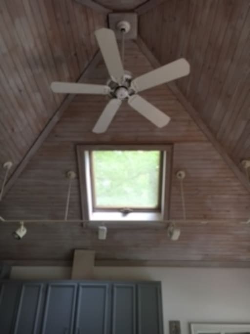 new kitchen ceiling