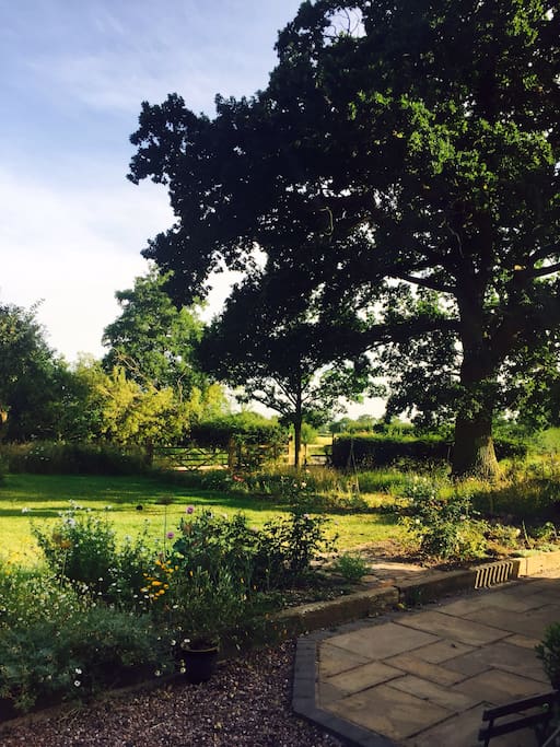Our growing garden
