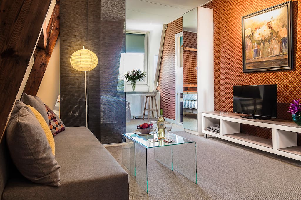 BnB Vondel Amsterdam Zuid Vondelpark