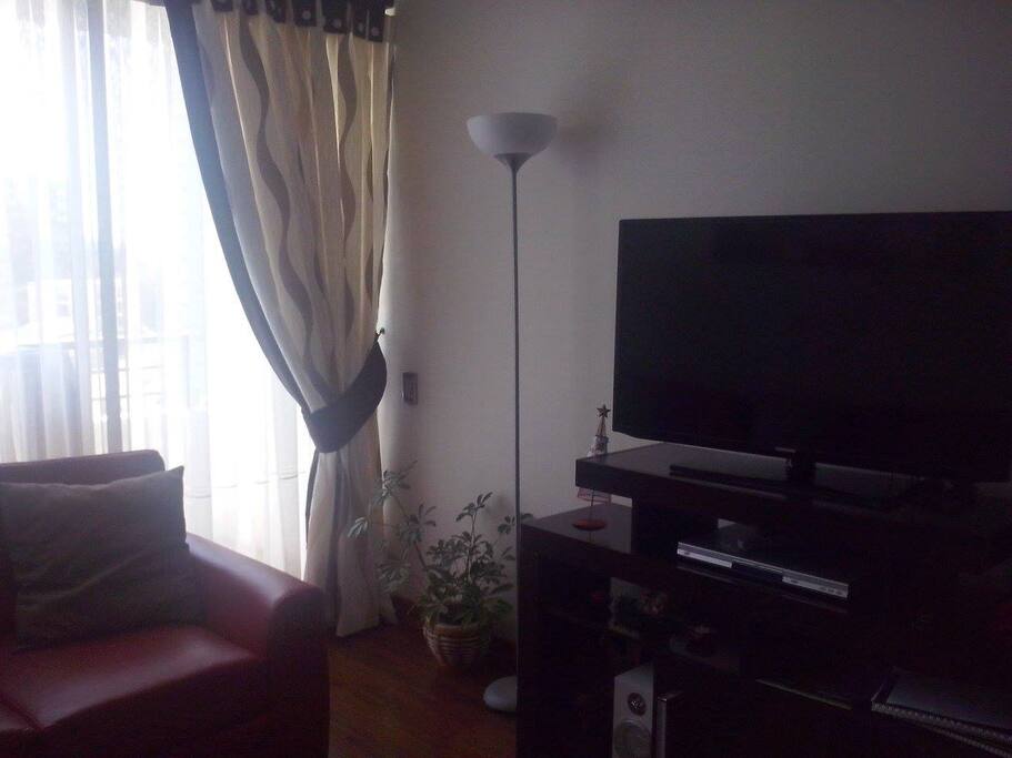 Televisión, reproductor DVD y Radio