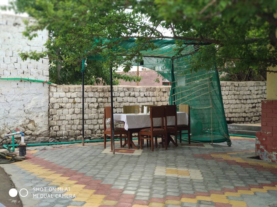 Outdoor Dinning