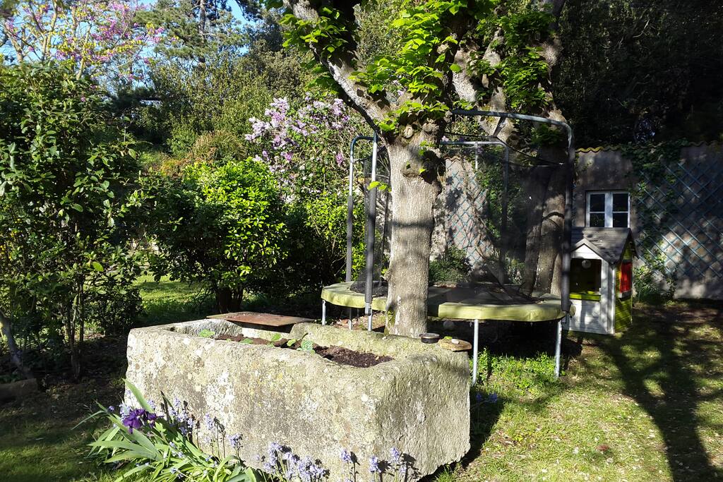Le coin jeux. Trampoline, cabane et dépendance.