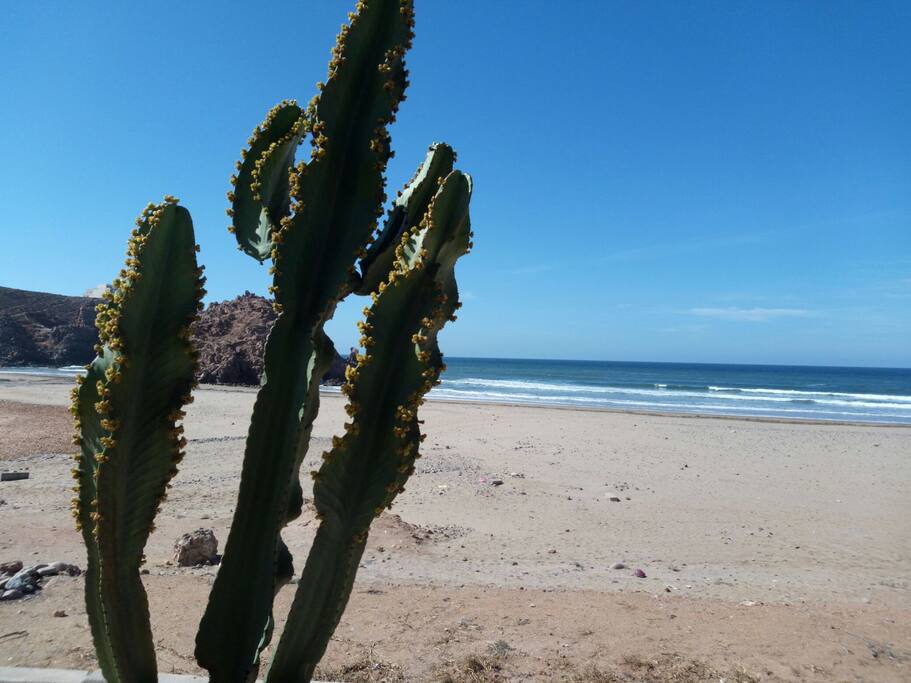 Une plage en dehors d'Agadir