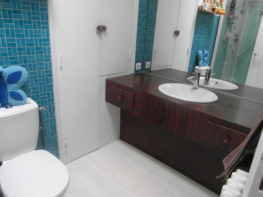 Salle de bain avec douche et WC