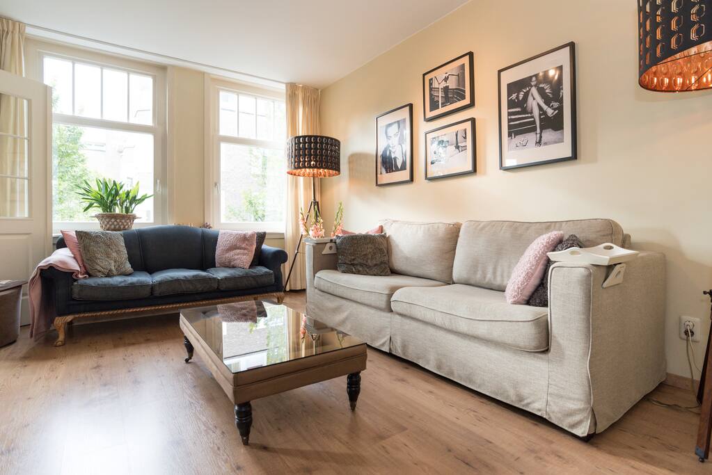 comfortable sofas.