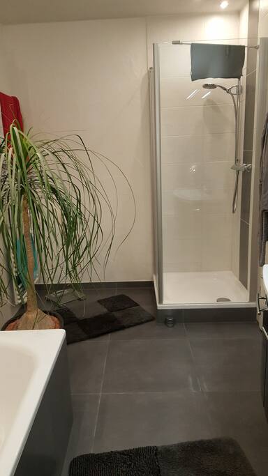 +Dusche im Badezimmer
