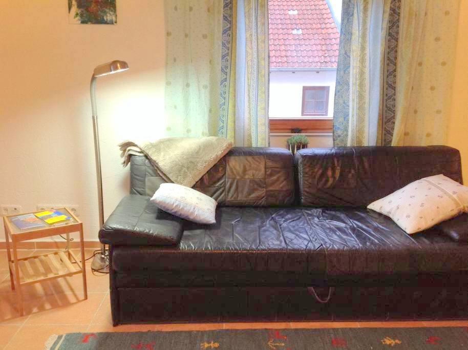 Gemütliche Leder Couch, ausziehbar für 2 Personen.