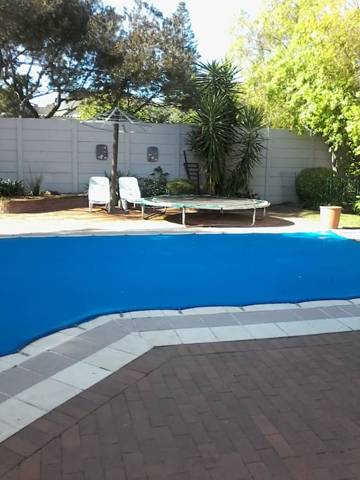 Back garden