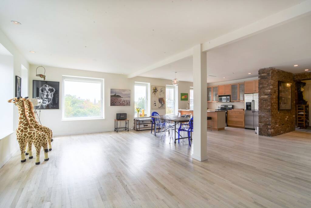 Spacious, clean, gorgeous views of South Williamsburg