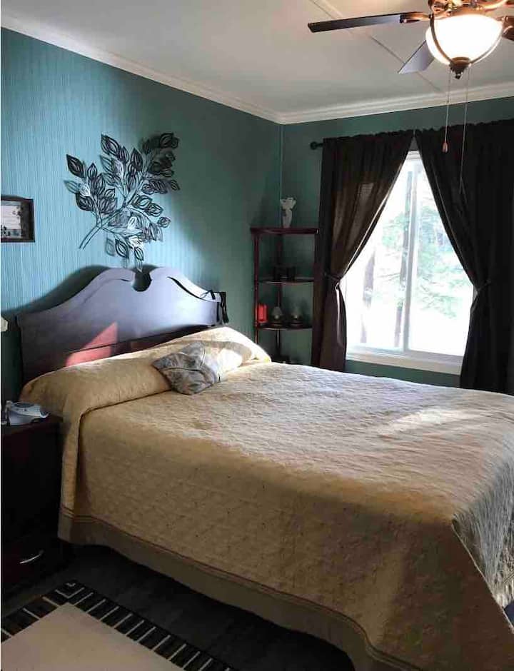 Master bedroom with queen size bed 