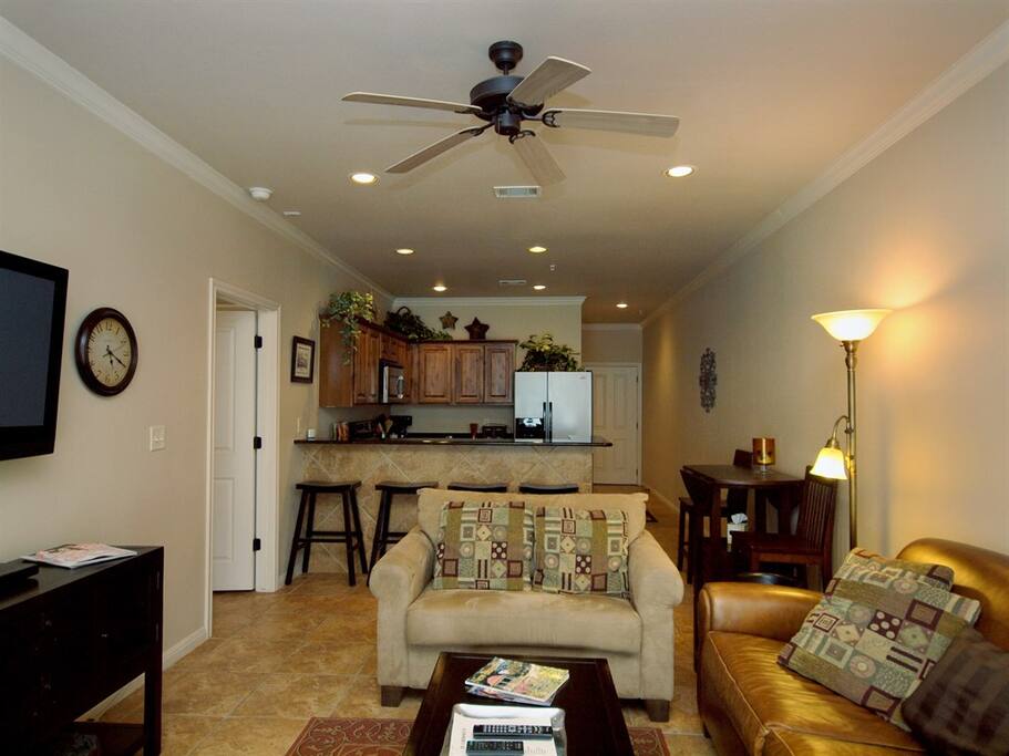Village at Gruene 103-Living Room