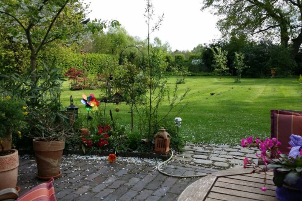Garten hinter dem Haus