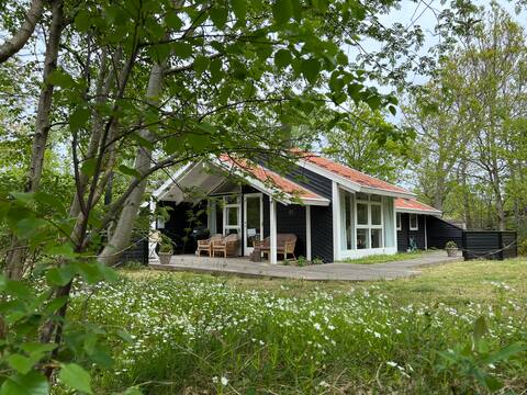 Summer house with beach access in beautiful nature