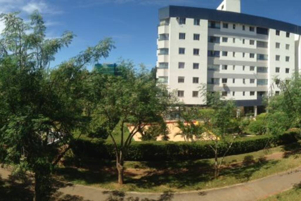 Vista livre em direção ao parque da cidade, parece um bosque
