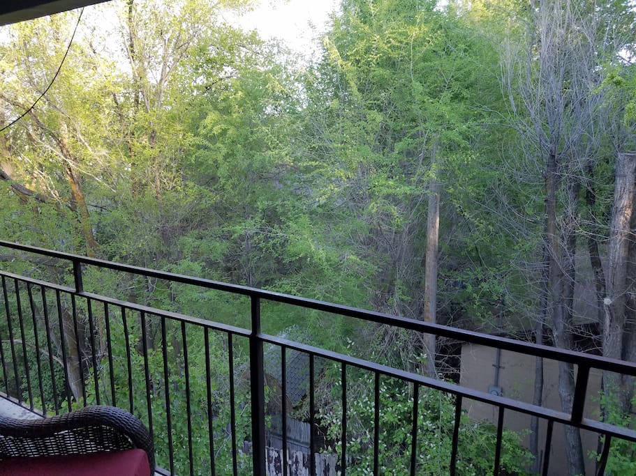 Patio View