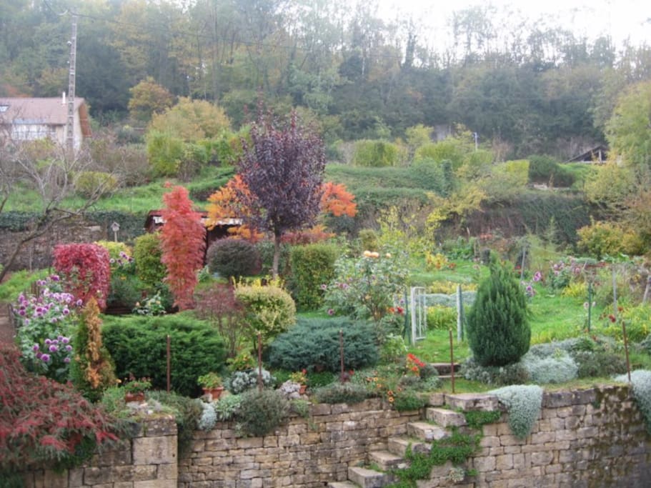 Jardin