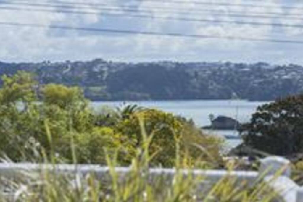 View from Deck