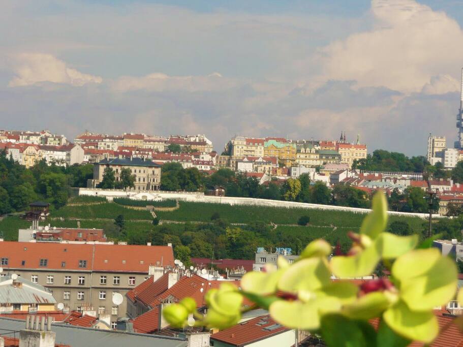 Luxury Prague Apartments Prague Czech Republic Luxury Prague Apartments Prague Czech Republic