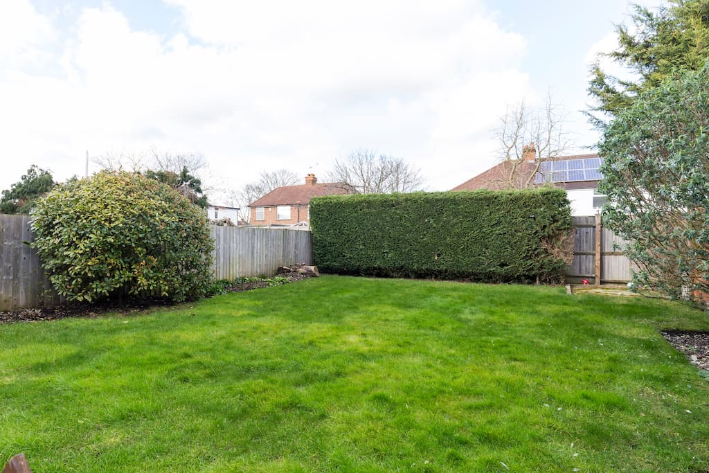 The lawn
