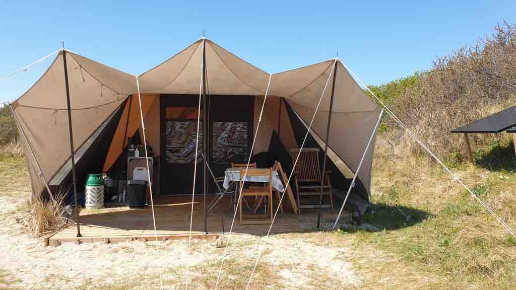 titan heringe zelt Tentock Camping Schwerlast Ultraleicht Lange Zeltnägel Outdoor Winddichte Zeltheringe für Garten Wanderungen Bergsteigen (T3-(16.5cm, 6 Stück)) Sport & Freizeit Roof folding into the VW California T6 Maße (in Meter):2x2x2