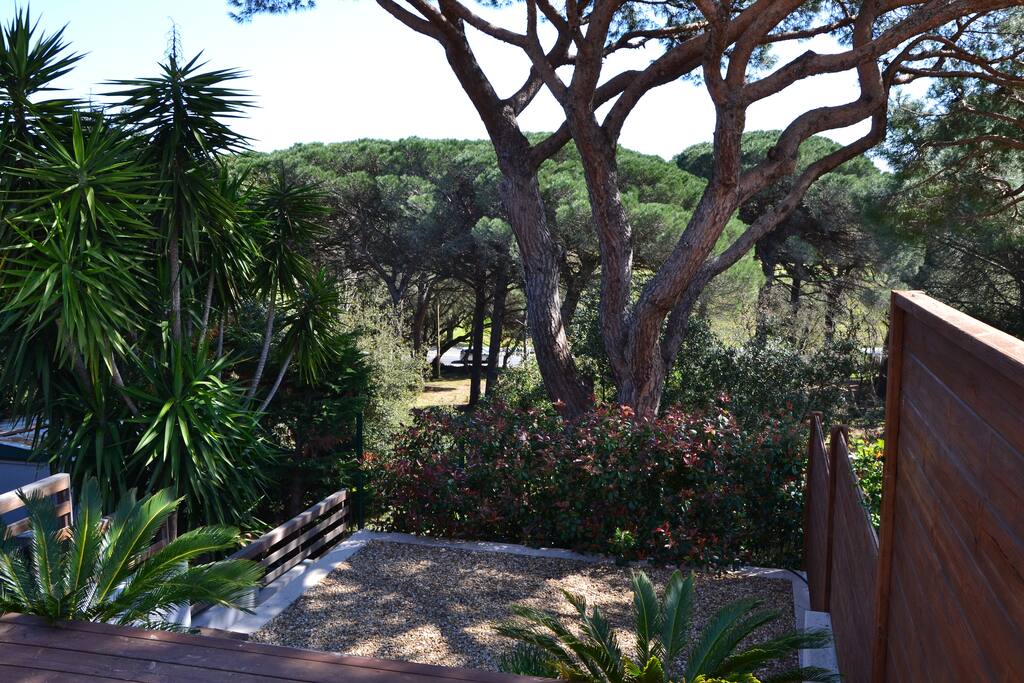 Jardinet et vue depuis la terrasse